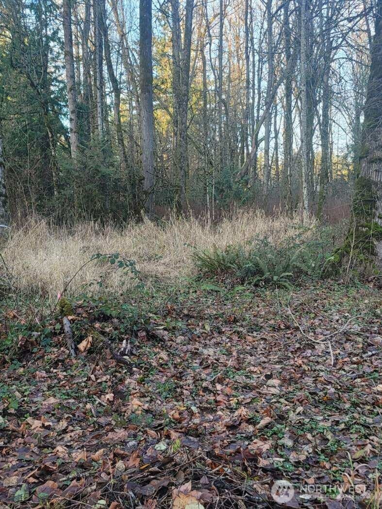 35750 Military Road Property Photo 2