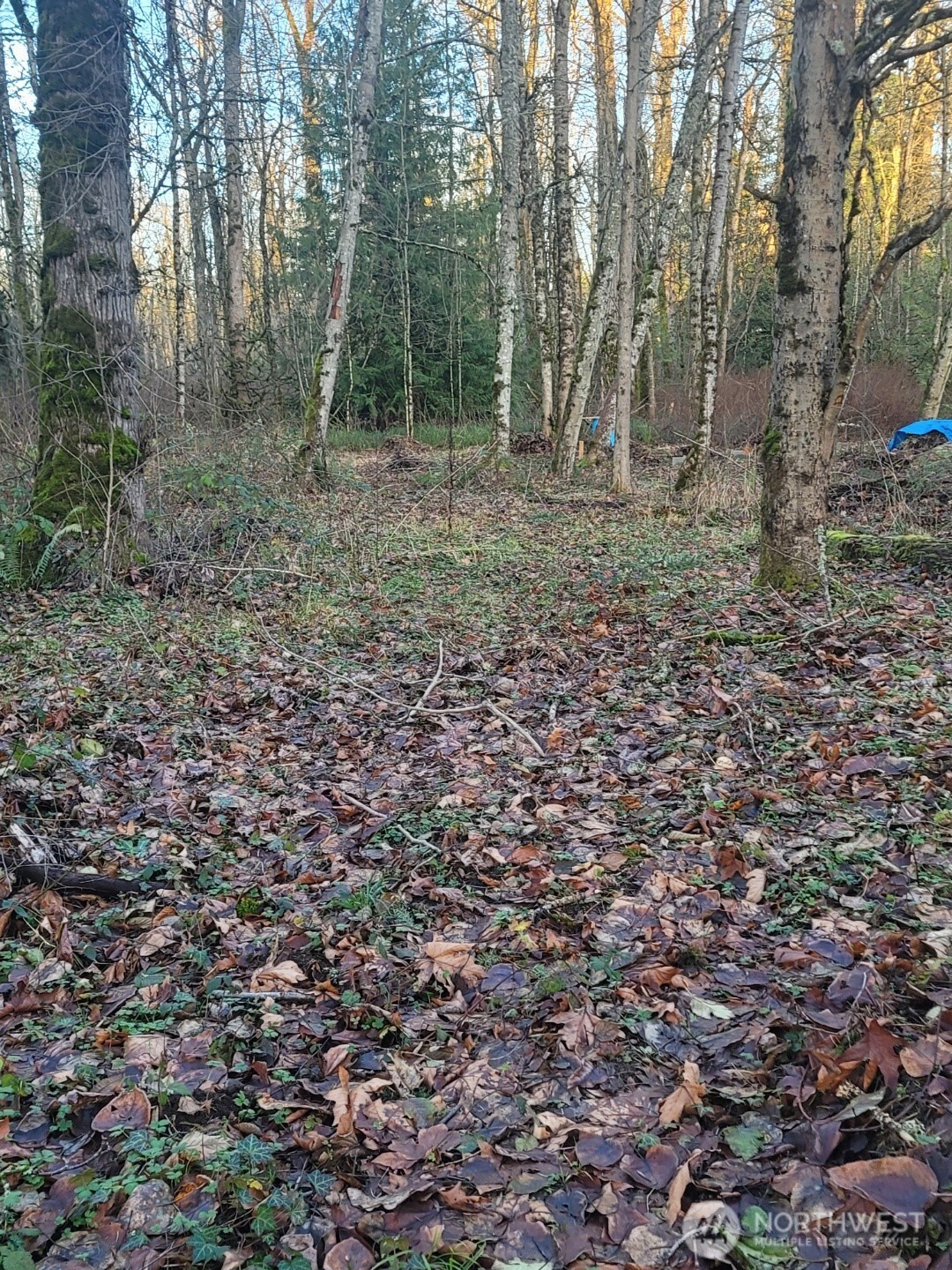 35750 Military Road Property Photo 3