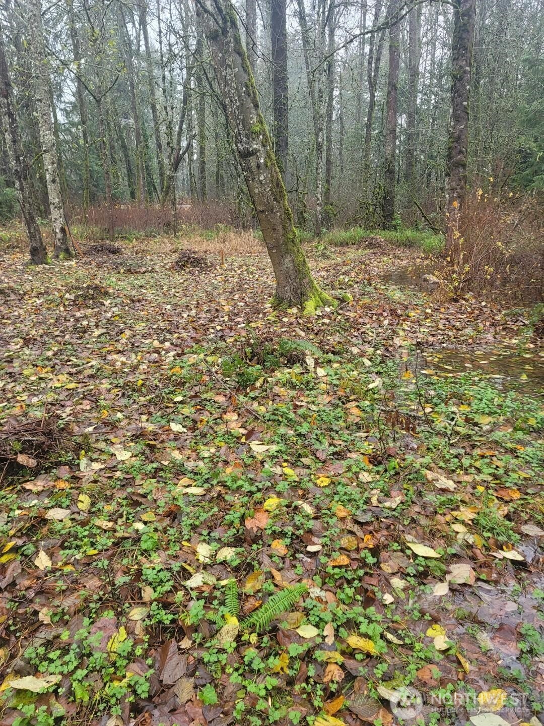 35750 Military Road Property Photo 7