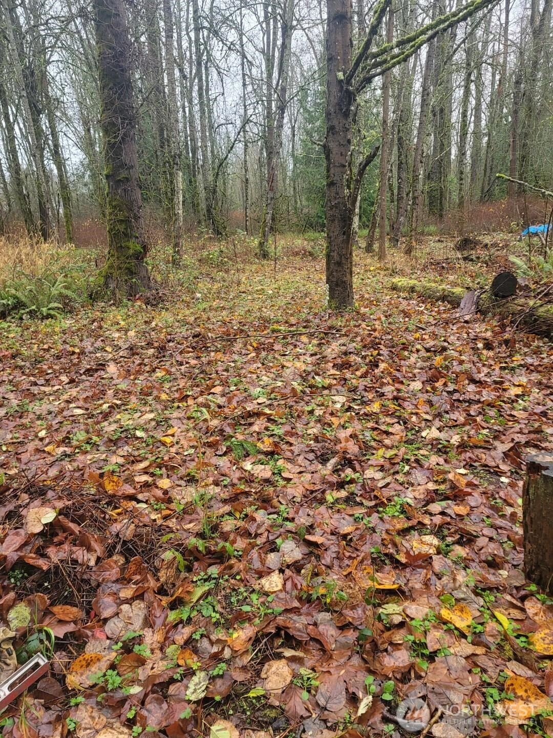 35750 Military Road Property Photo 9