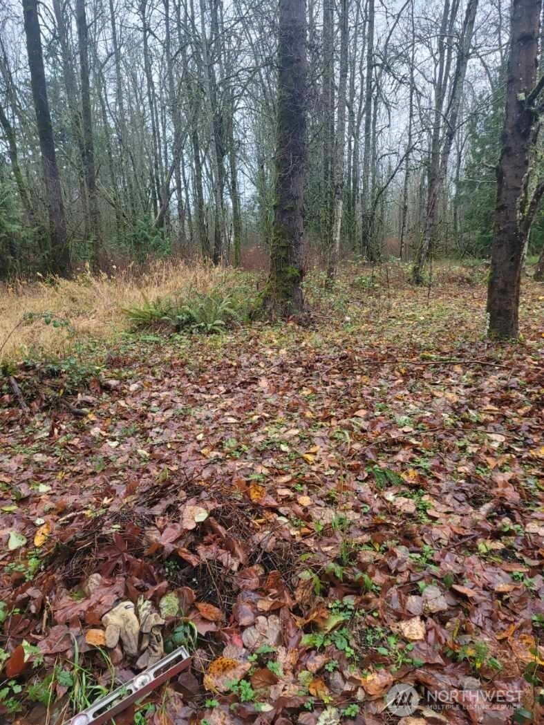 35750 Military Road Property Photo 10