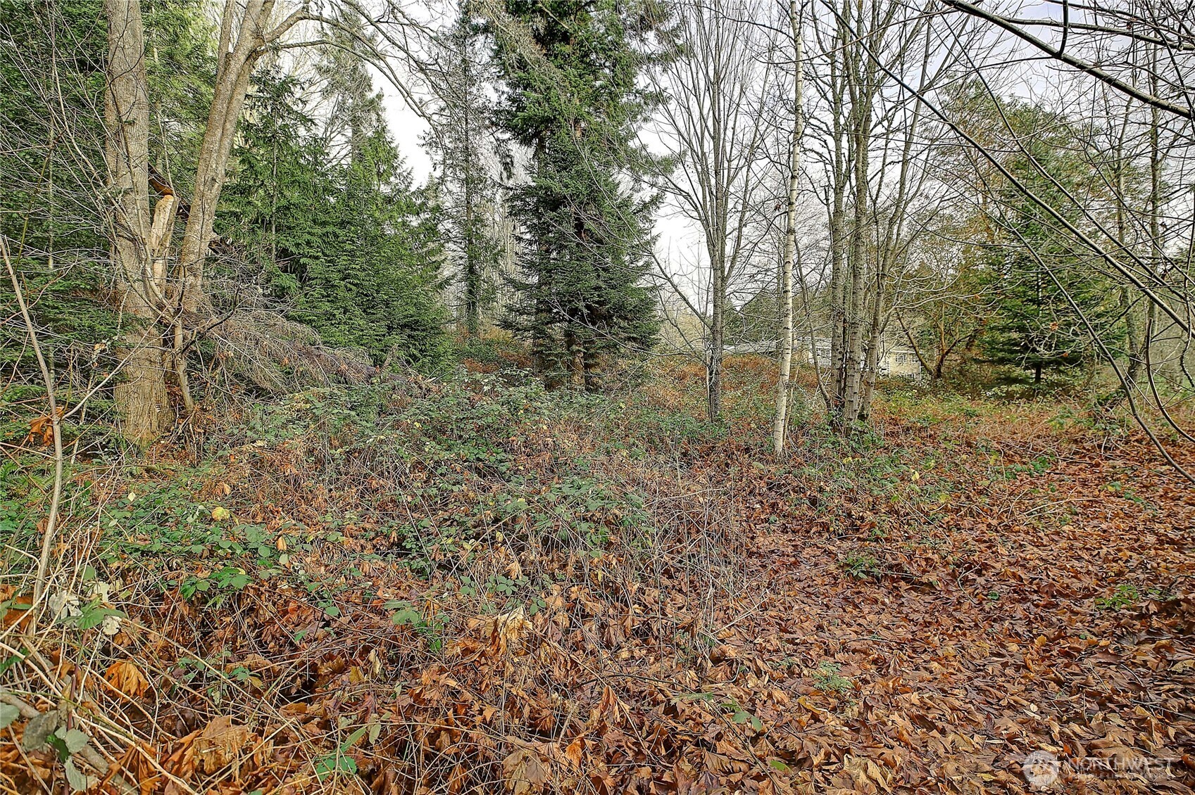 0 Xxx S Camano Drive Property Photo 23