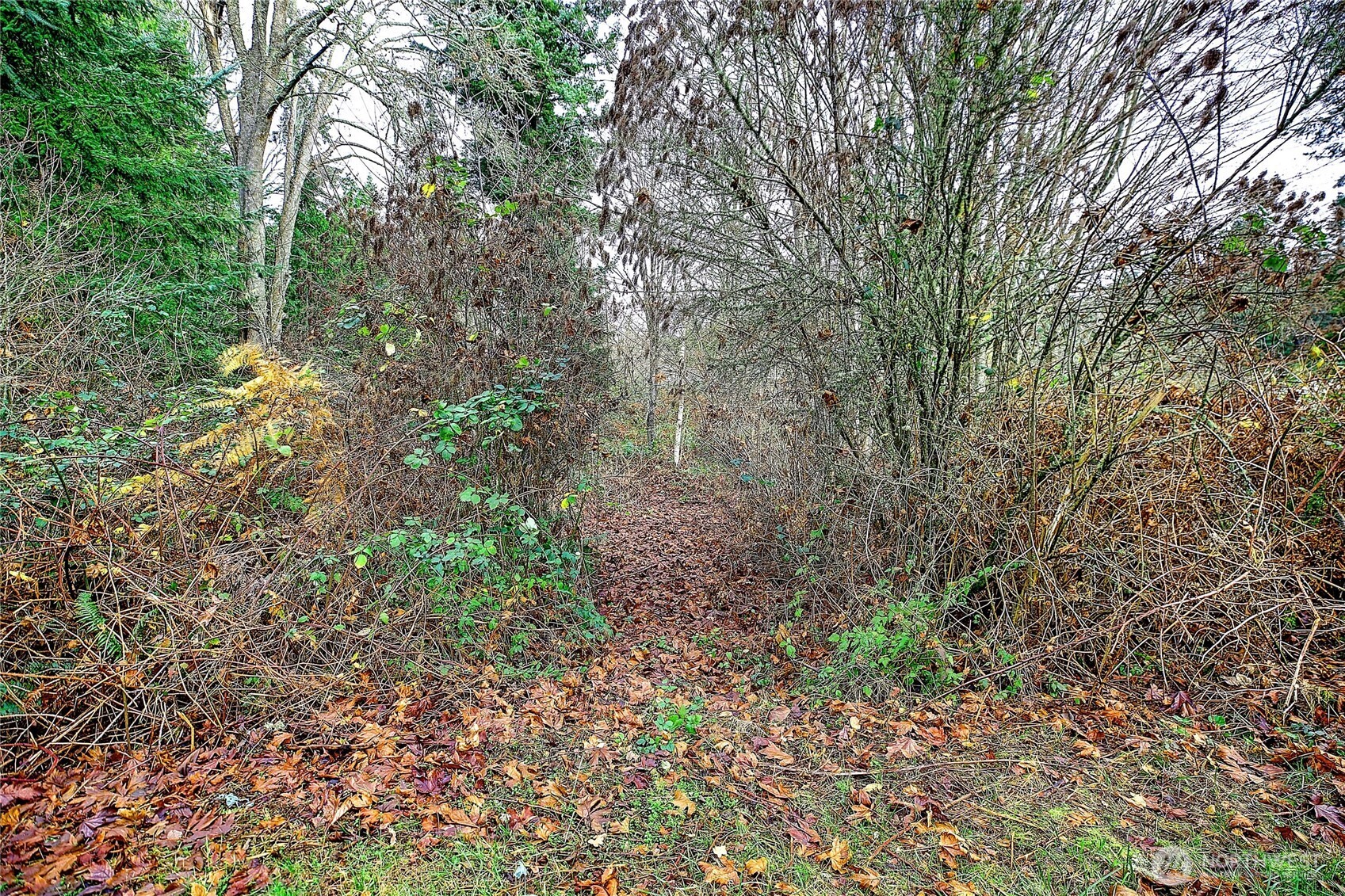 0 Xxx S Camano Drive Property Photo 24