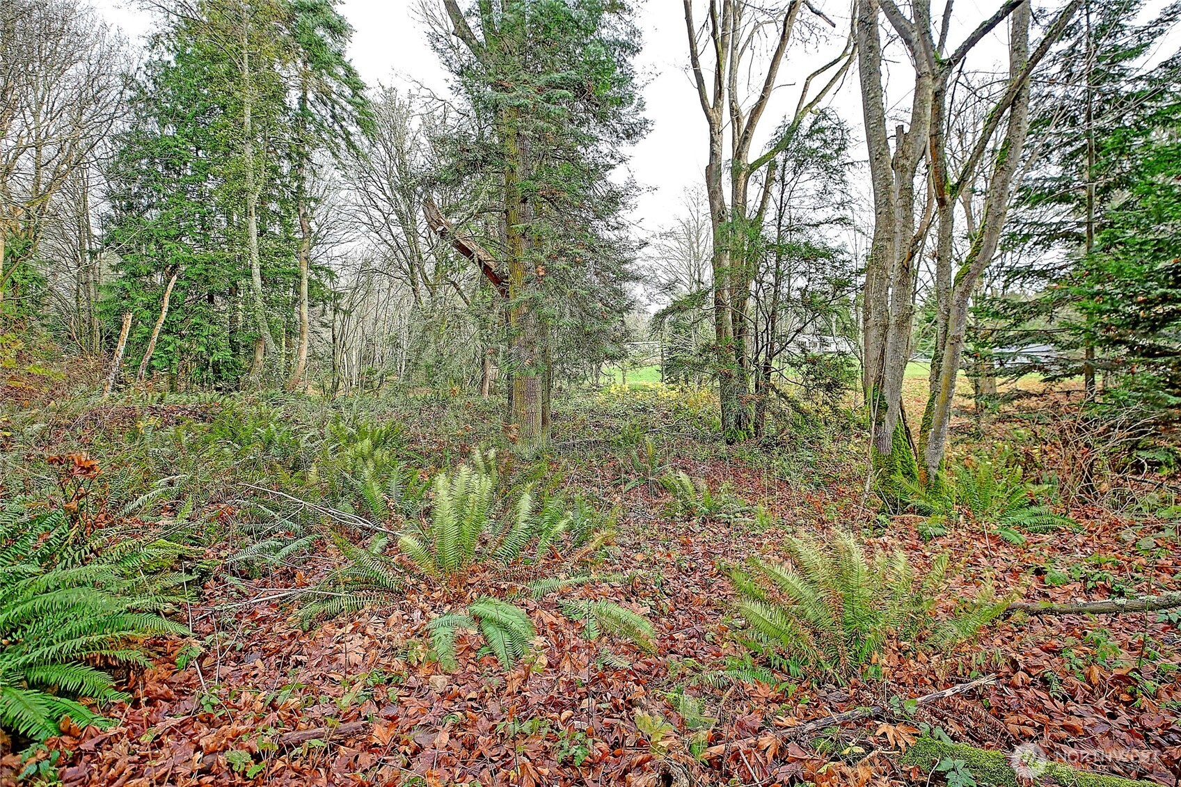 0 Xxx S Camano Drive Property Photo 25