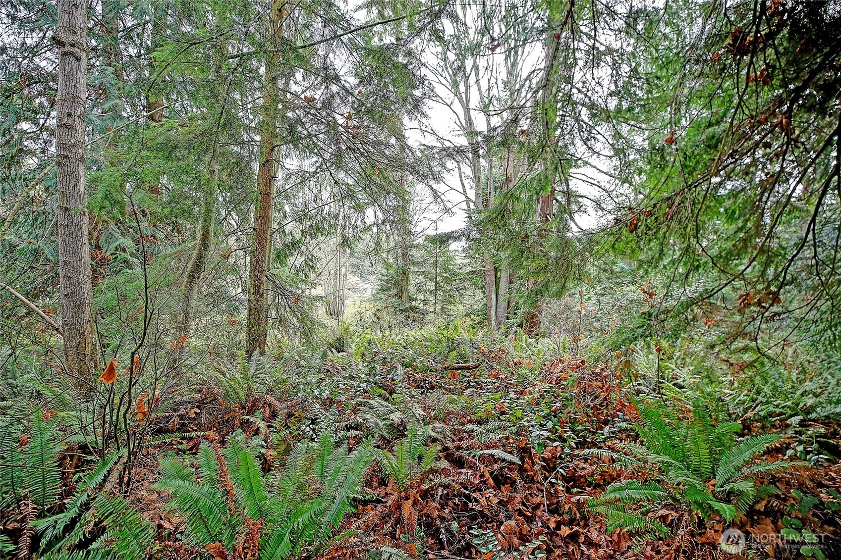 0 Xxx S Camano Drive Property Photo 26