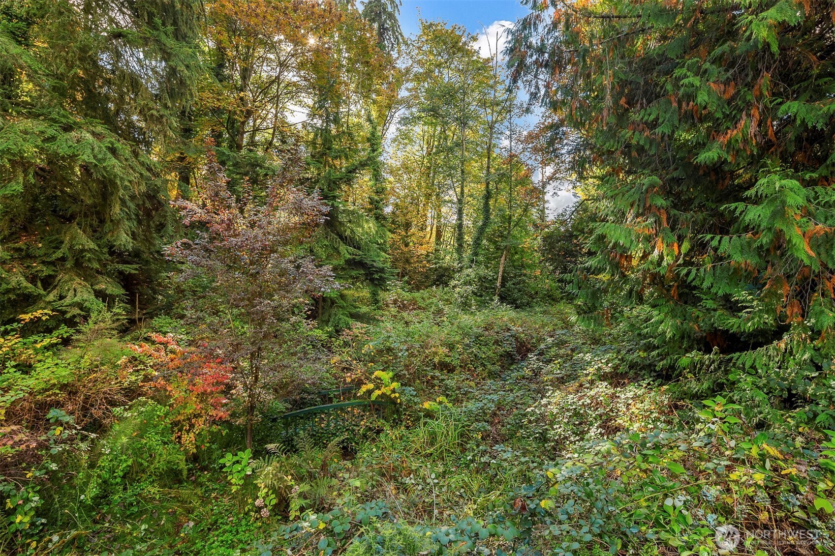 13530 62nd Avenue Property Photo 4