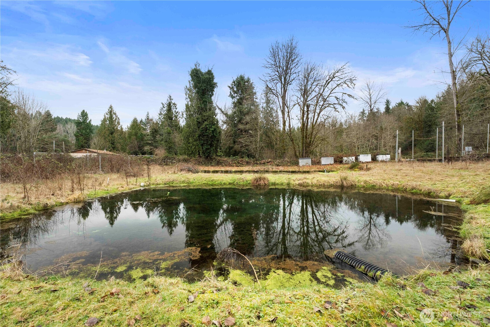 17612 219th Avenue Property Photo 39