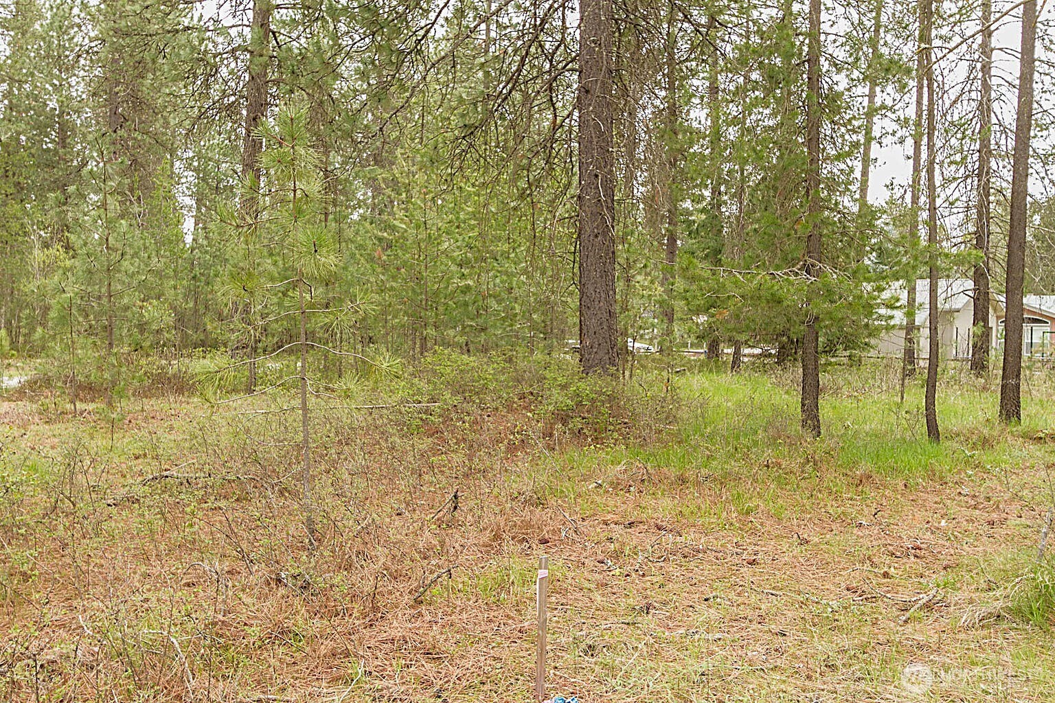 202 Eagle Drive Property Photo 3
