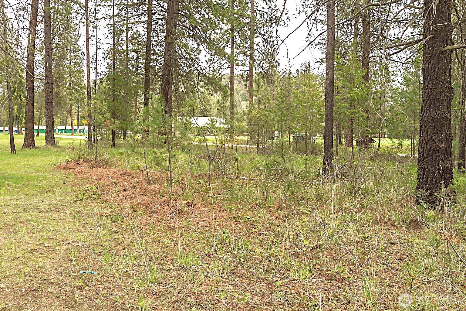 202 Eagle Drive Property Photo 4