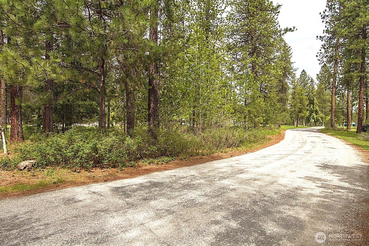 202 Eagle Drive Property Photo 7
