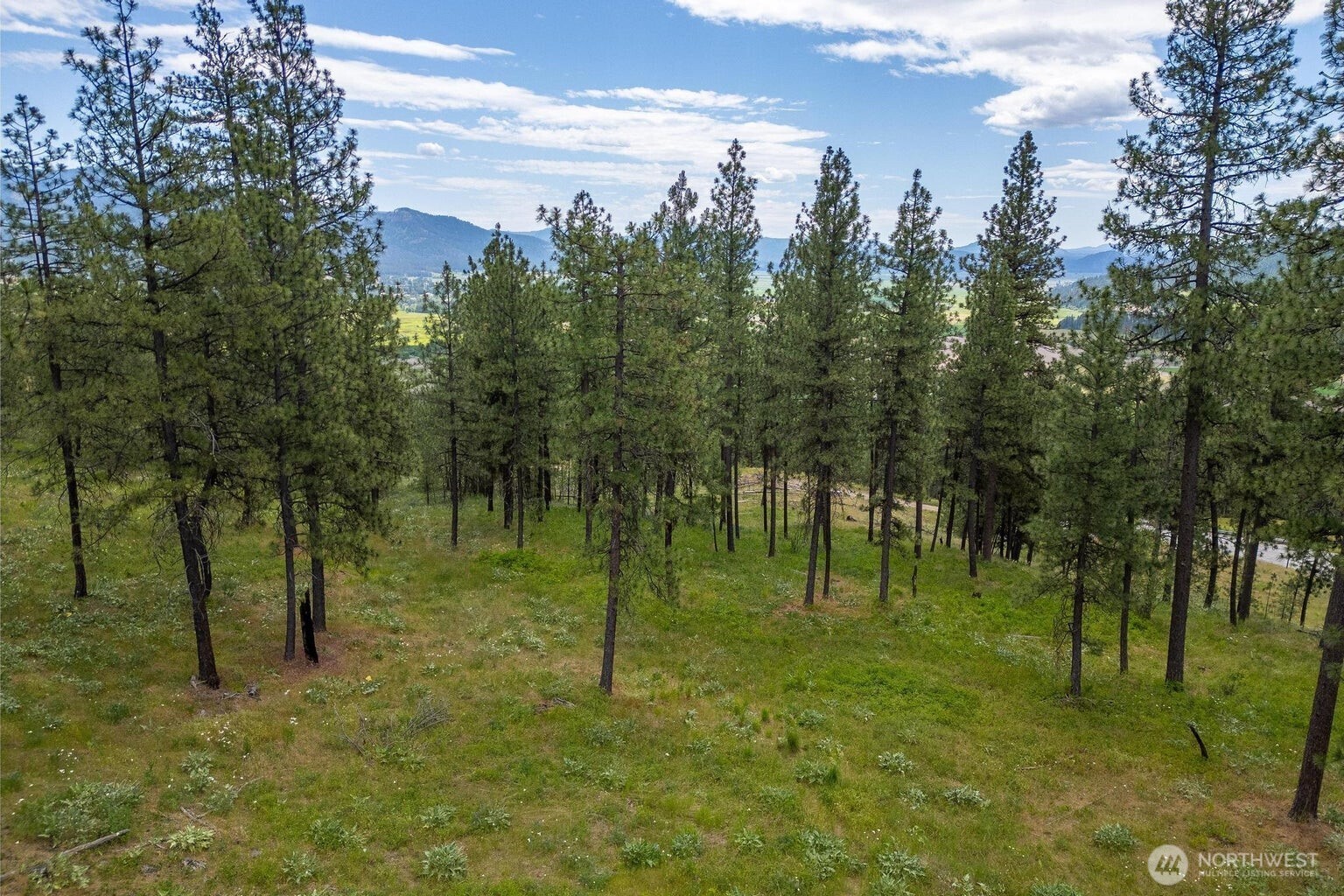 1612 Palmer Loop