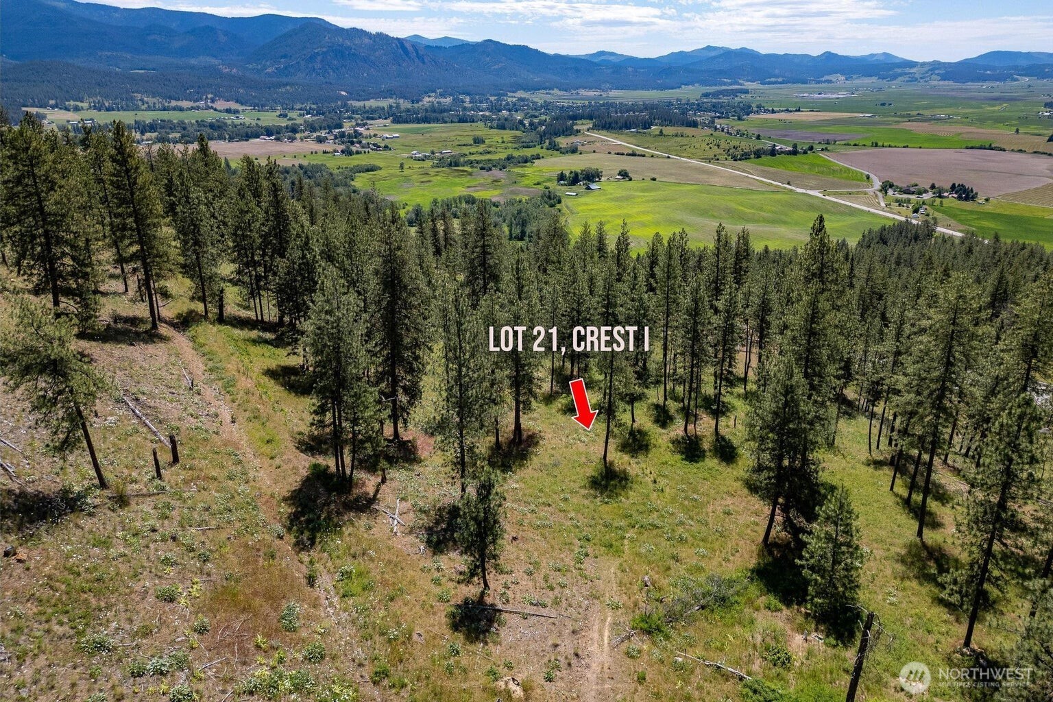 1612 Palmer Loop Property Photo 8