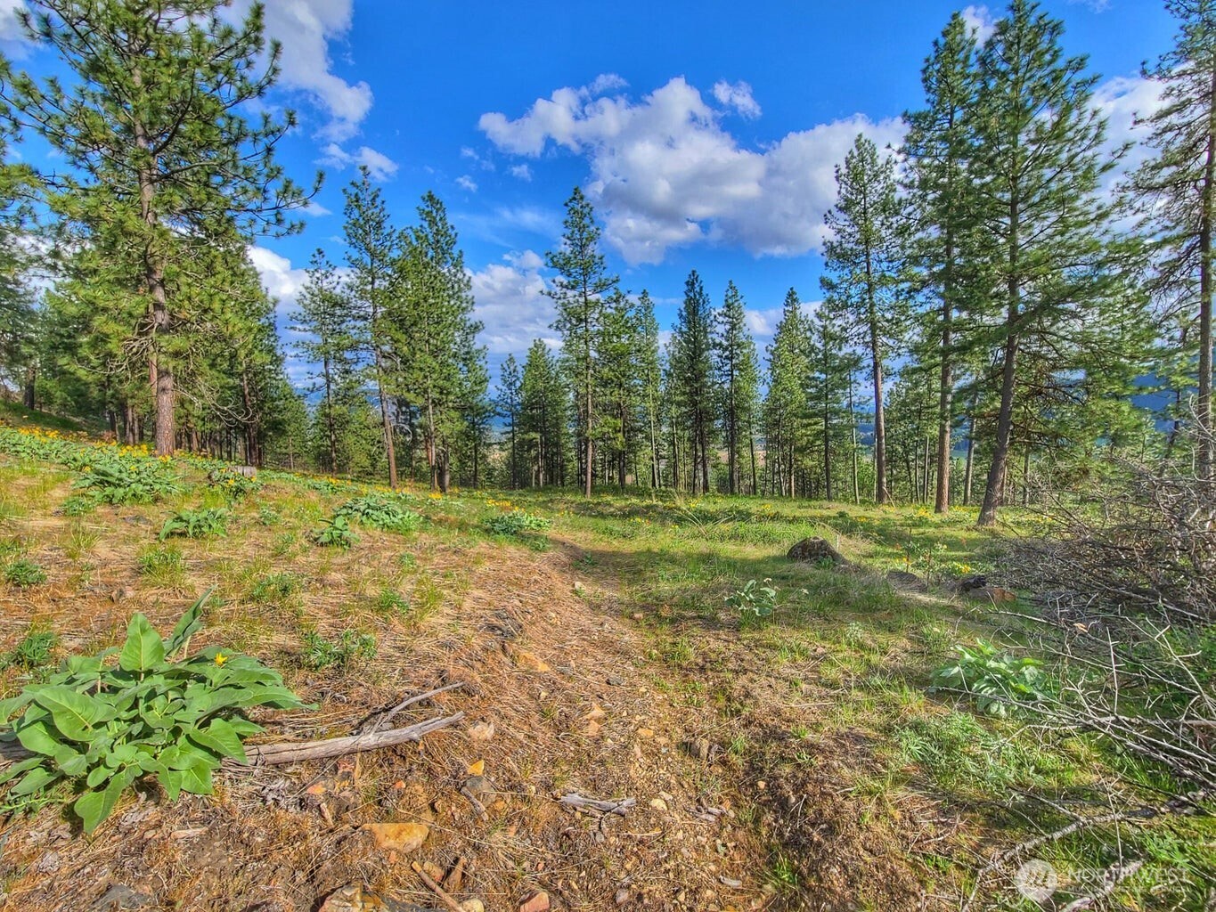 1612 Palmer Loop Property Photo 13