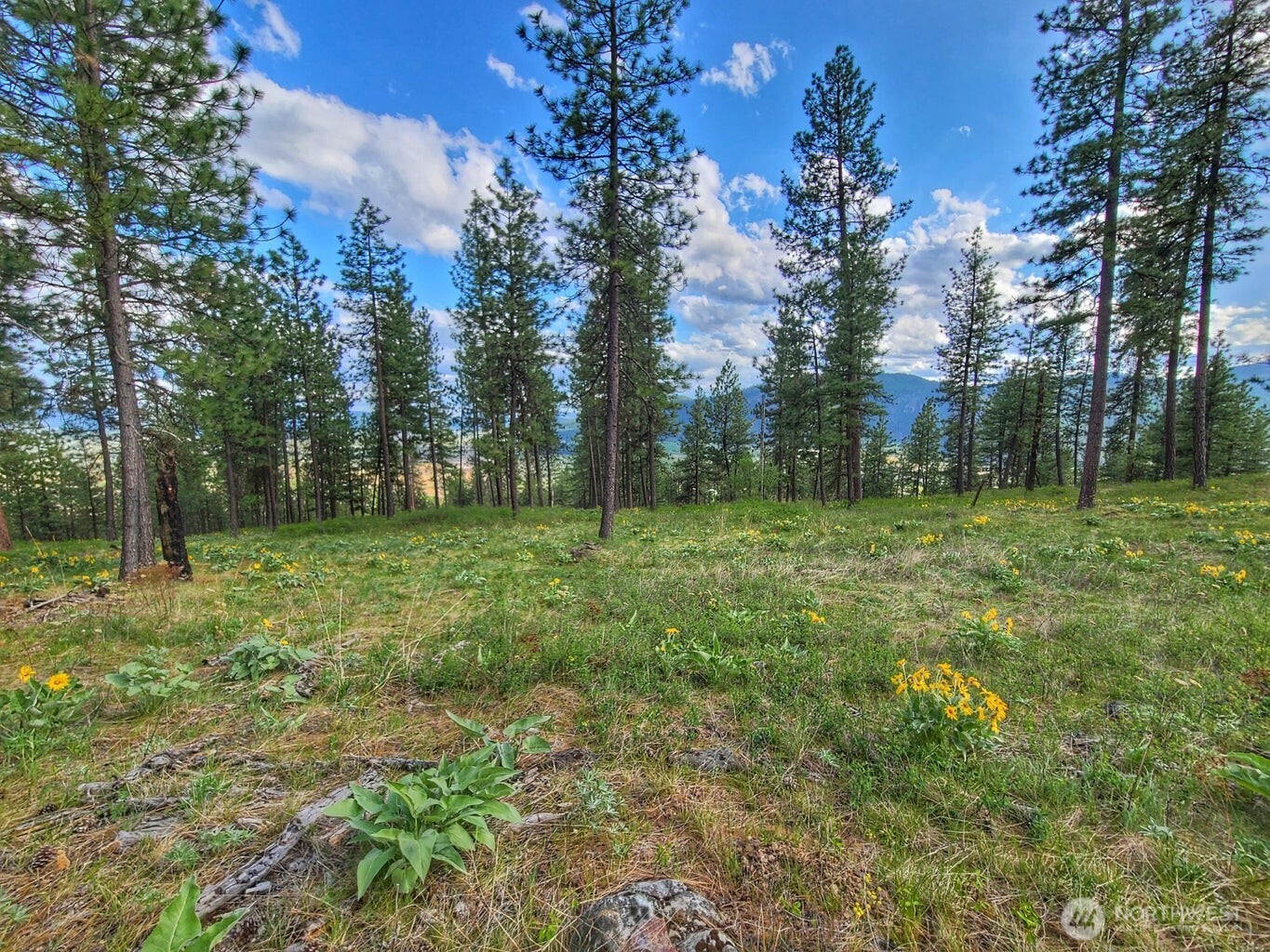 1612 Palmer Loop Property Photo 14