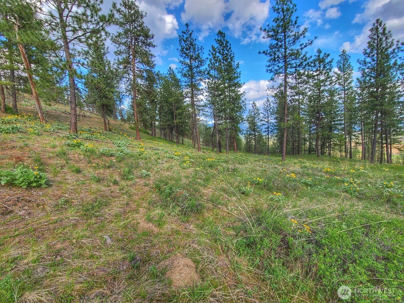 1612 Palmer Loop Property Photo 15