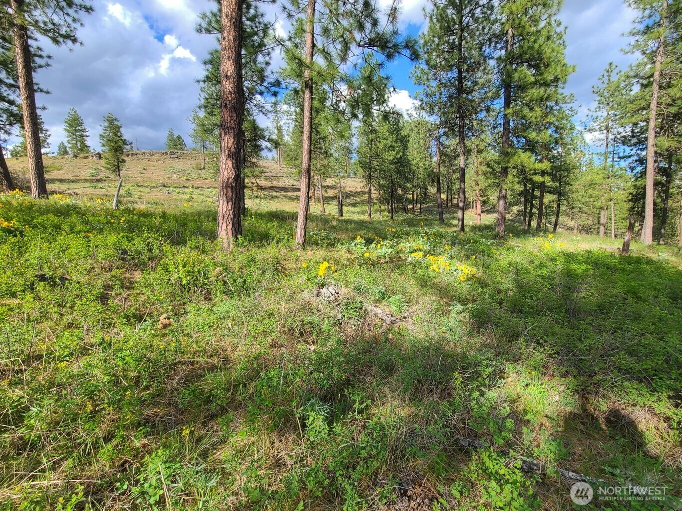 1612 Palmer Loop Property Photo 17