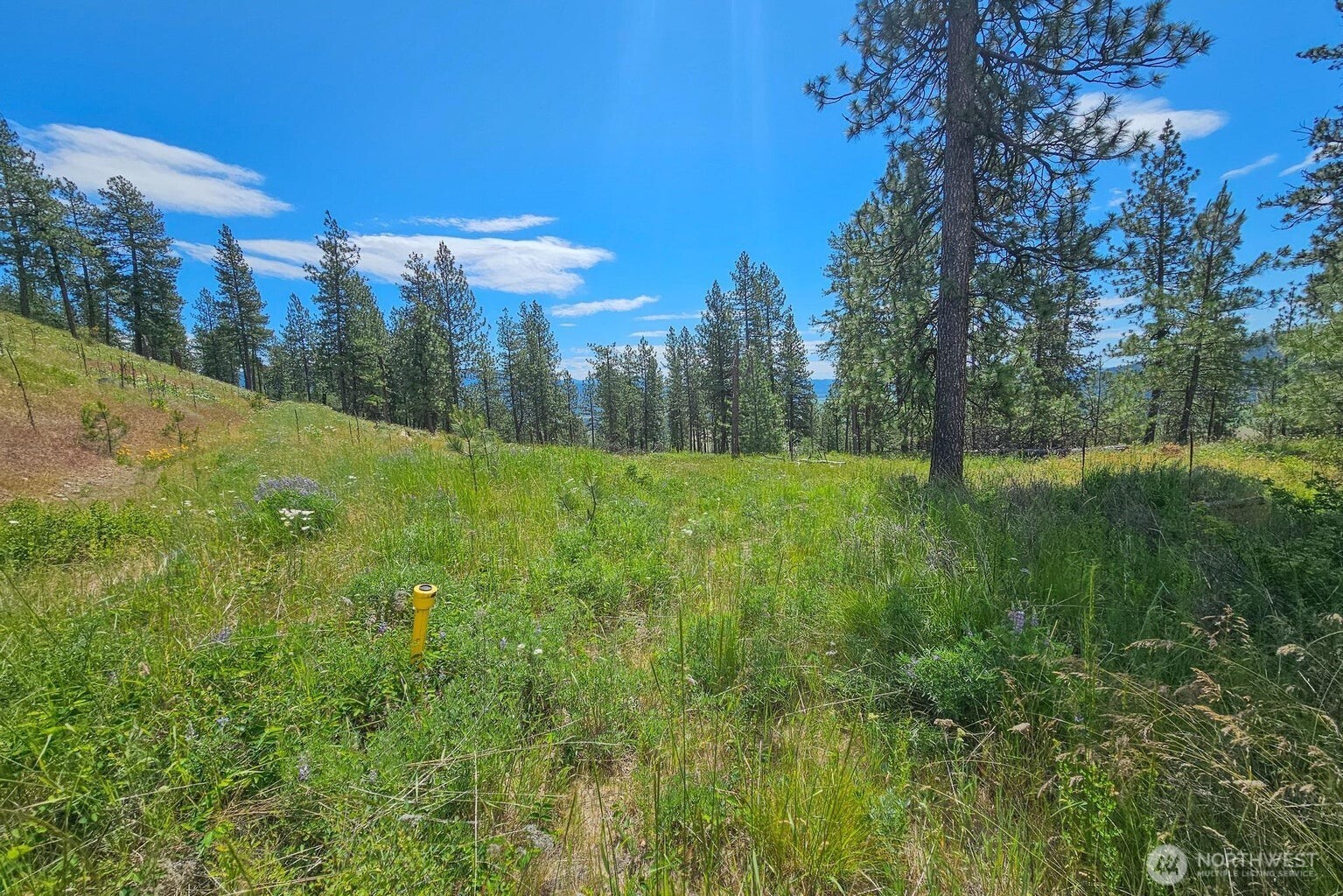 1612 Palmer Loop Property Photo 18