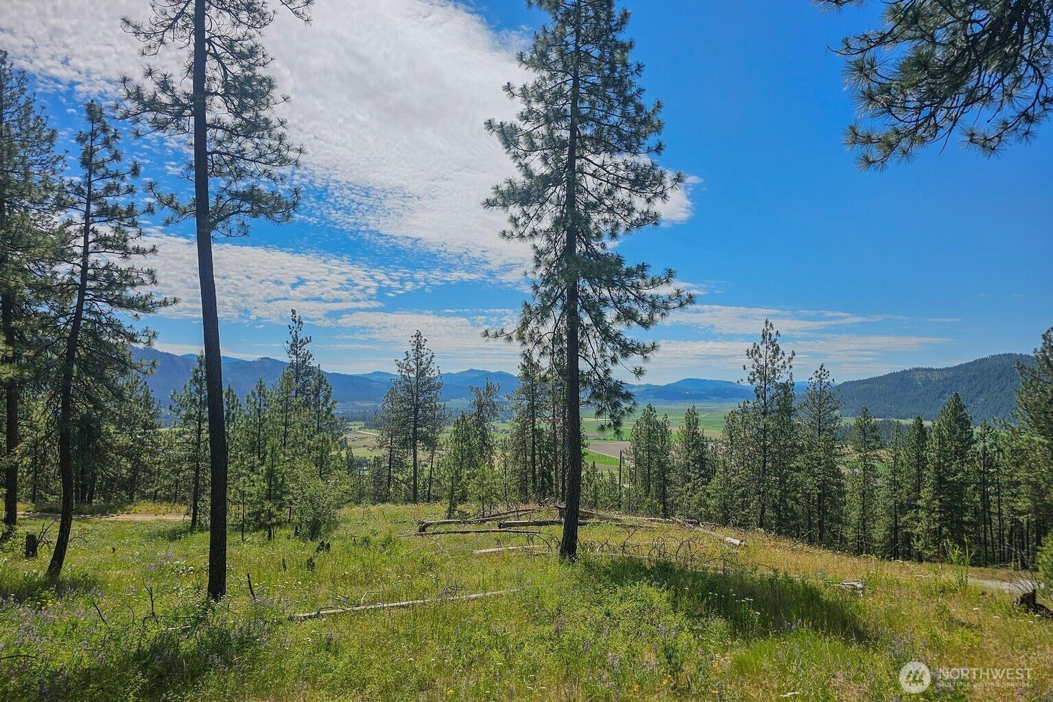 1612 Palmer Loop Property Photo 19