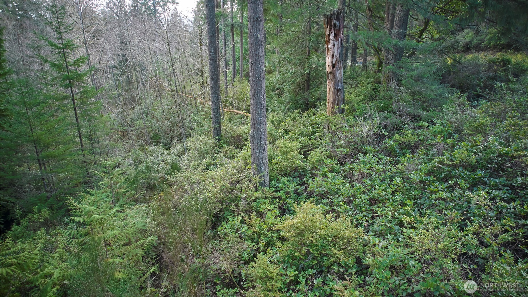 63 Xx Nw Anderson Hill Road Property Photo 7