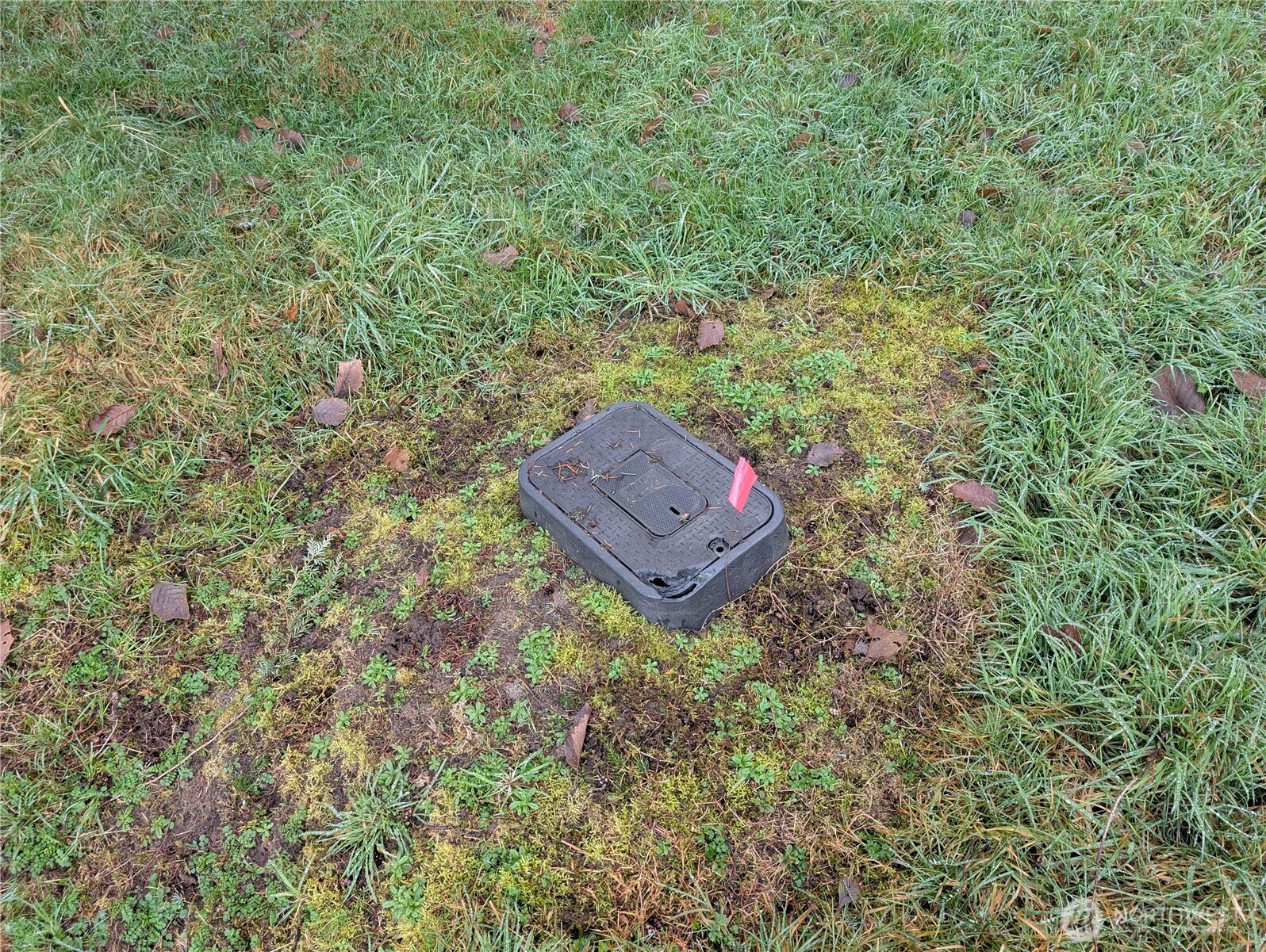 4610 Cedar Hill Road Property Photo 4