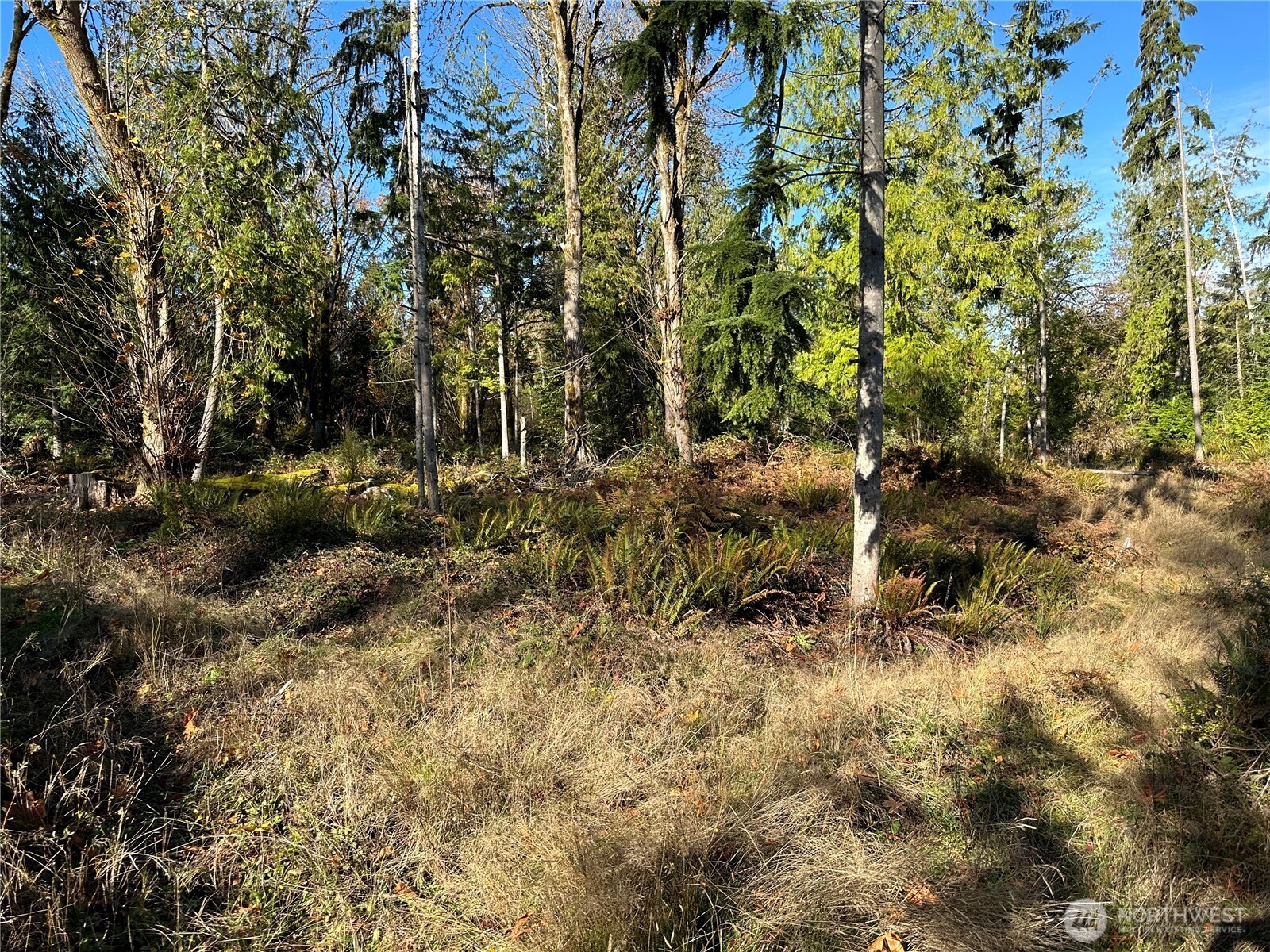 4 Lots Lilypad Place Property Photo 2