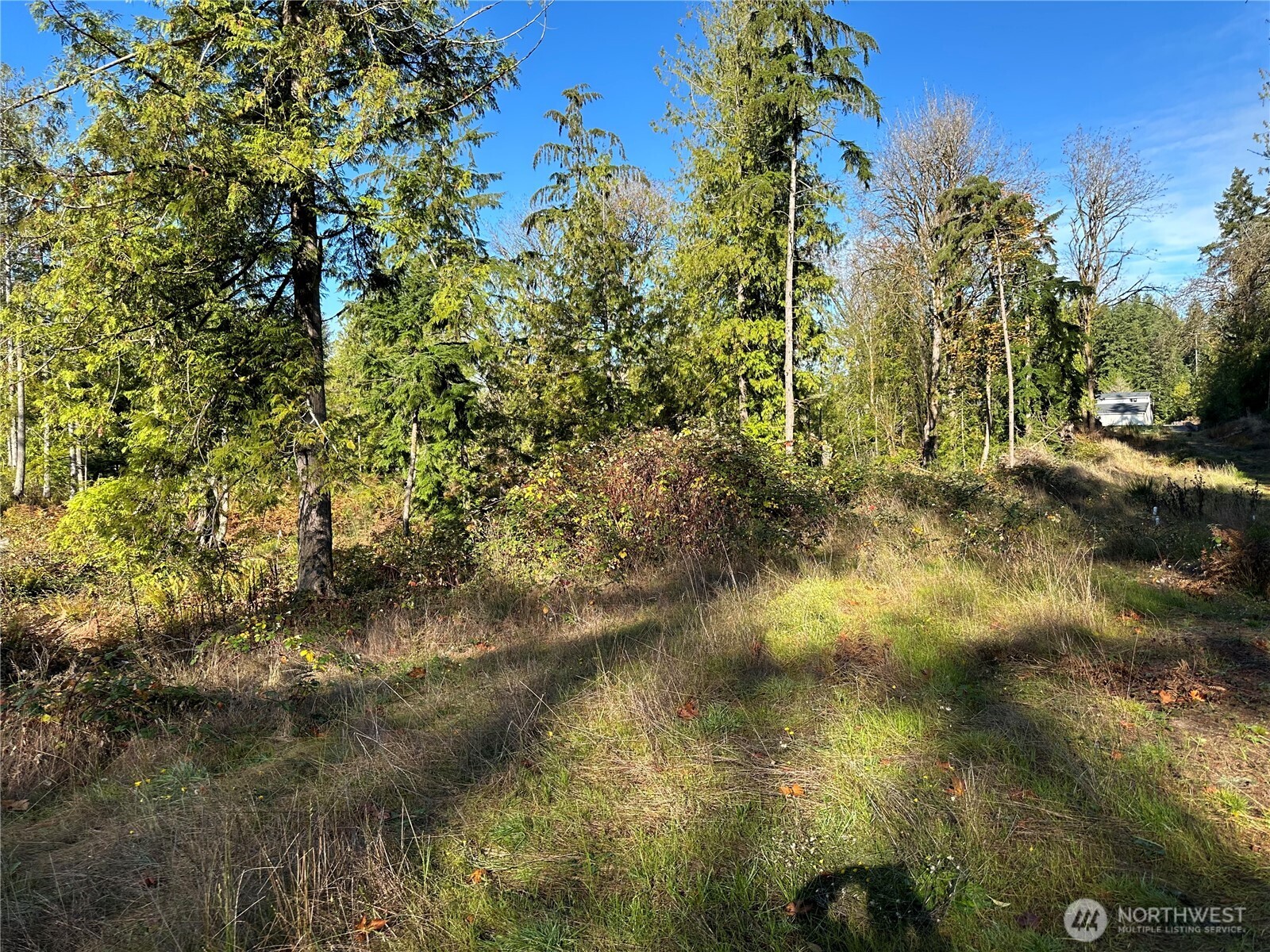4 Lots Lilypad Place Property Photo 5