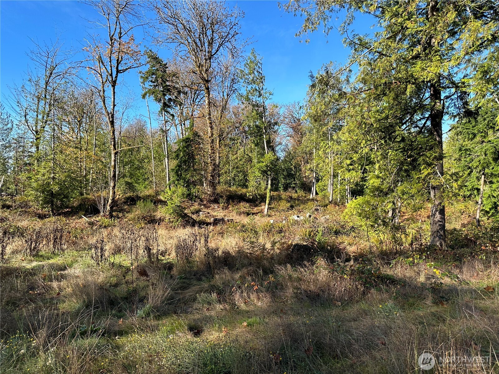 4 Lots Lilypad Place Property Photo 6
