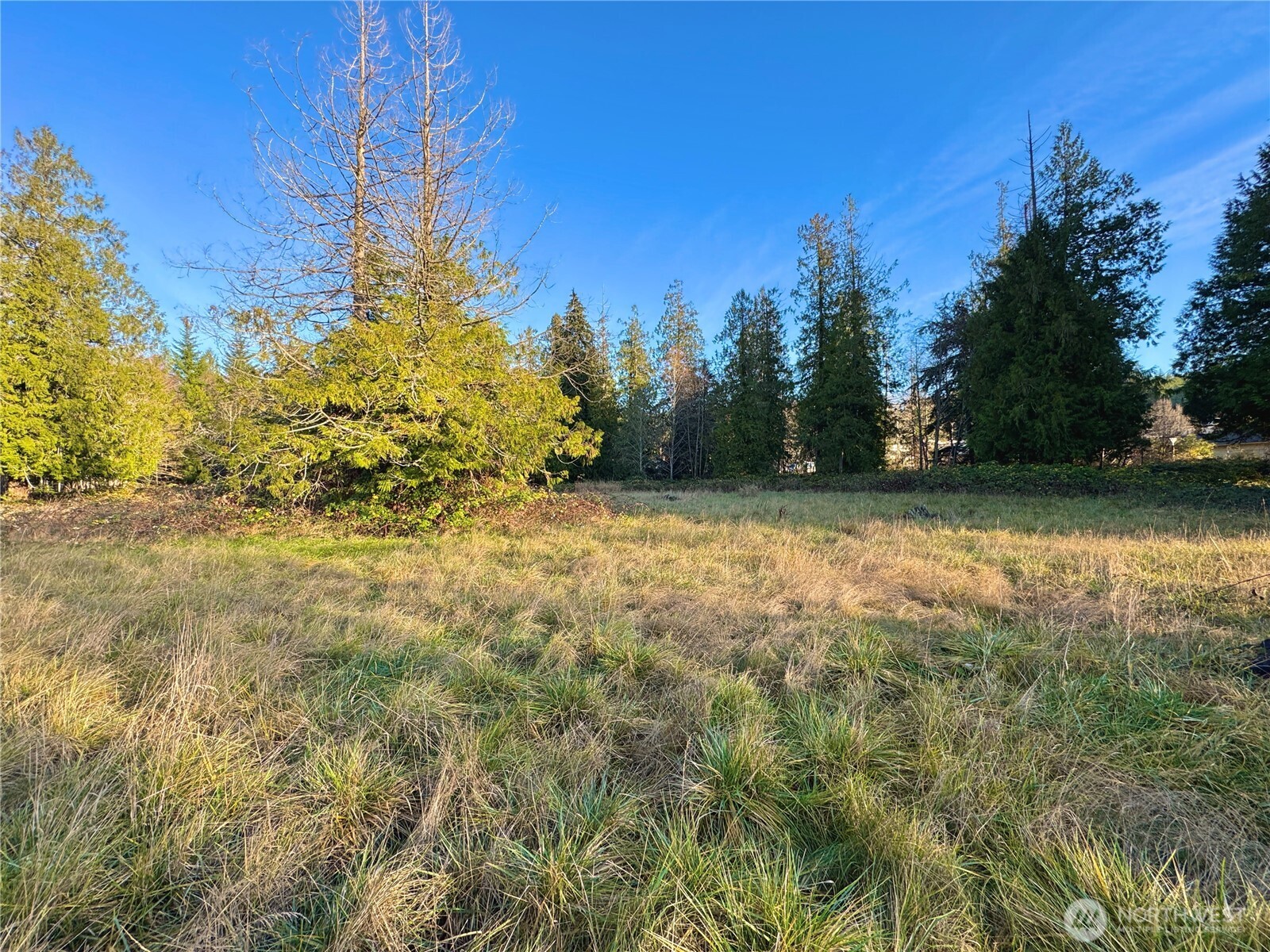 25 Ne Roy Boad Road Property Photo 3