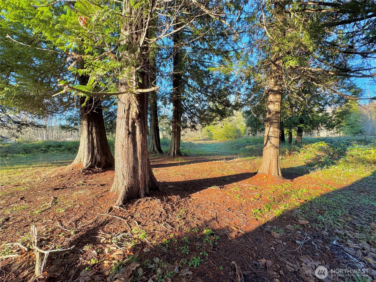 25 Ne Roy Boad Road Property Photo 9