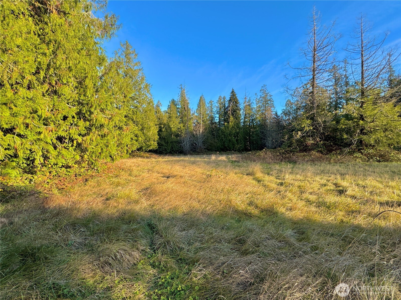 25 Ne Roy Boad Road Property Photo 11