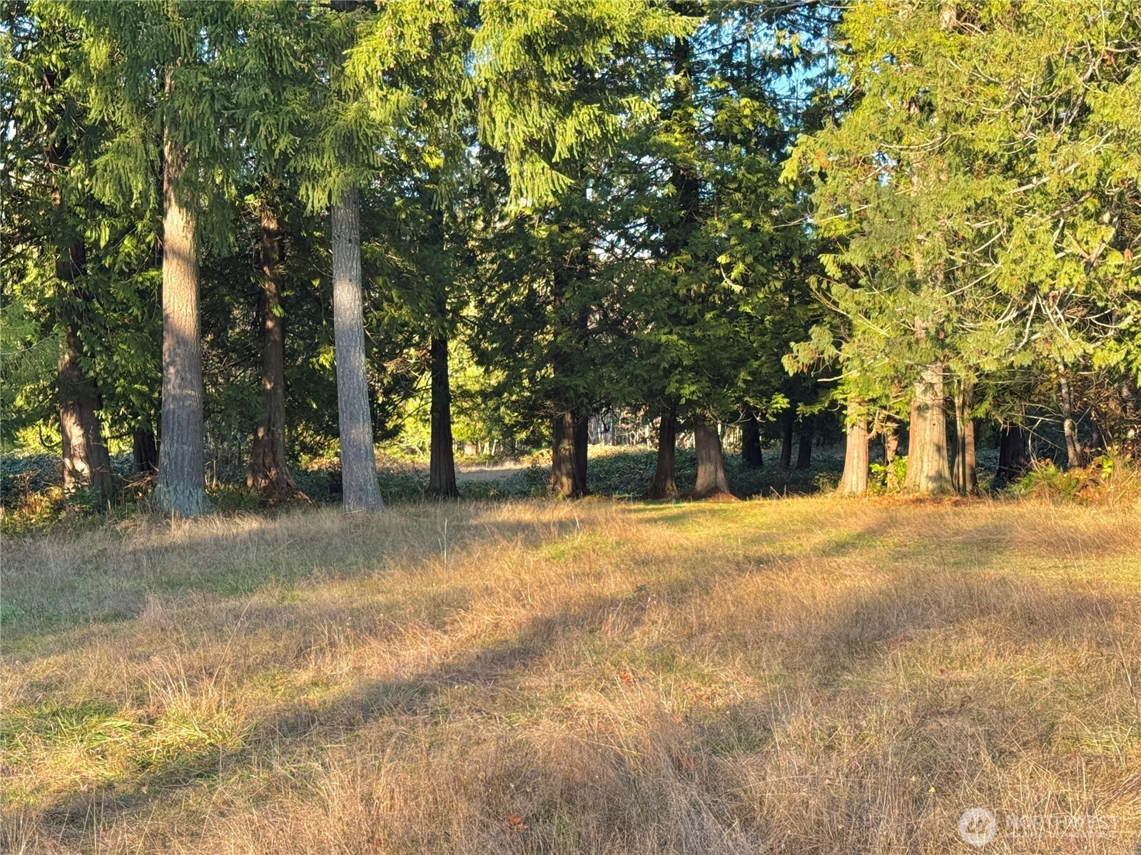 25 Ne Roy Boad Road Property Photo 16