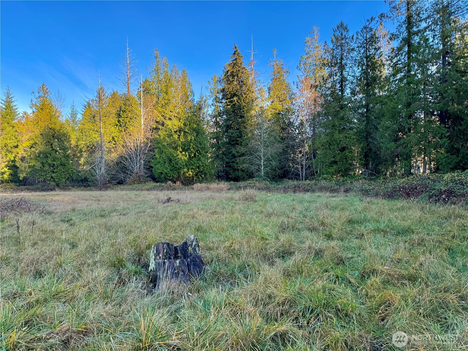 25 Ne Roy Boad Road Property Photo 28