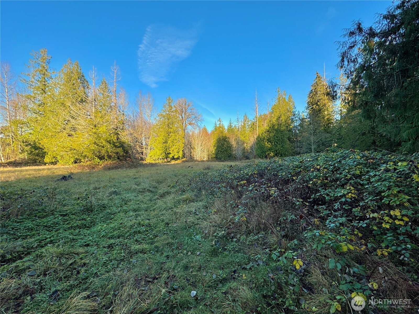 25 Ne Roy Boad Road Property Photo 29
