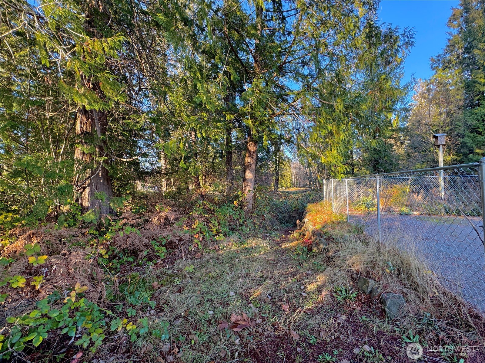 25 Ne Roy Boad Road Property Photo 37