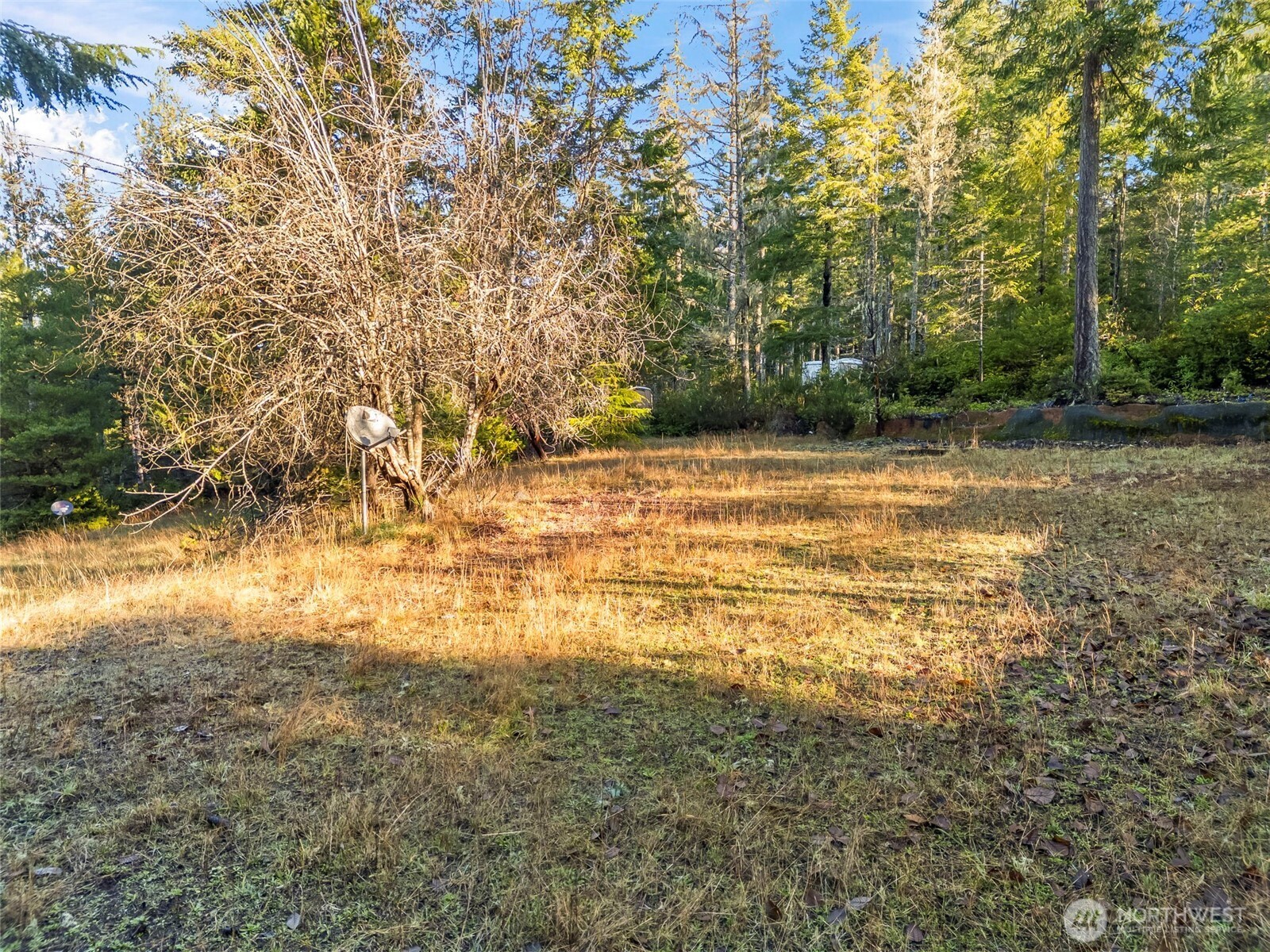 1121 E Timber Tides Drive Property Photo 7