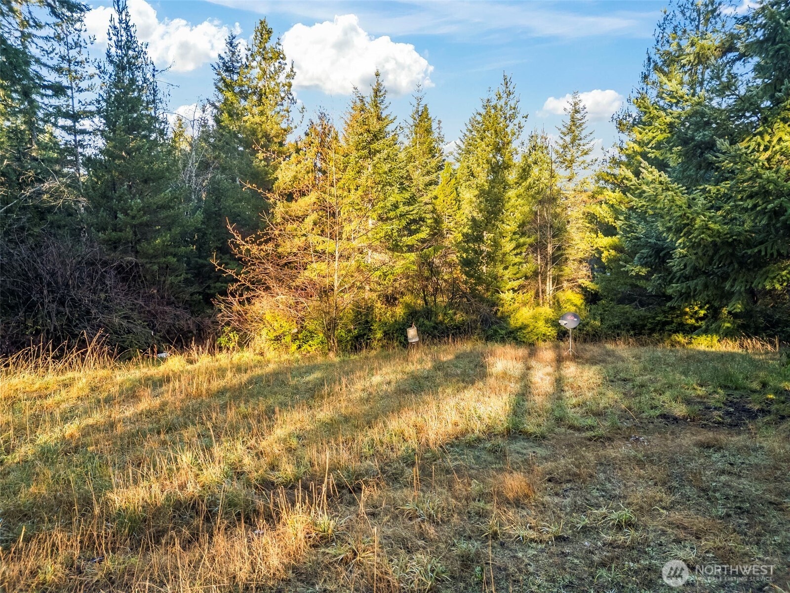 1121 E Timber Tides Drive Property Photo 8