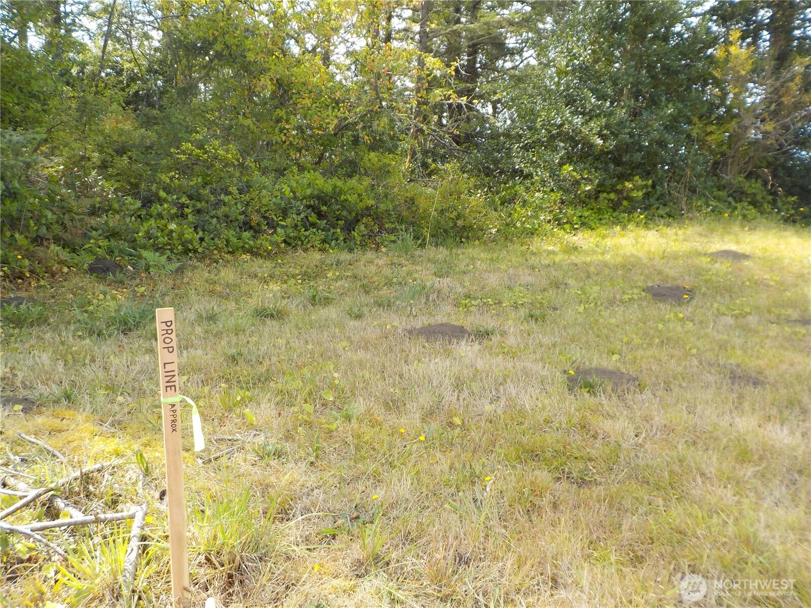 621 State Rt 101 Property Photo 6