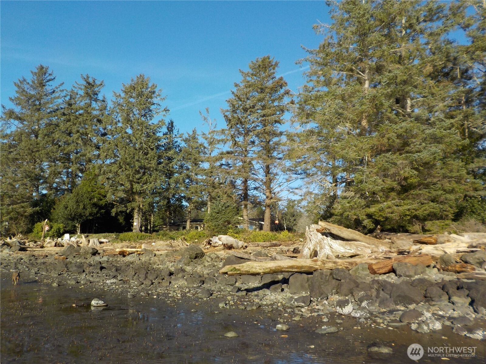 621 State Rt 101 Property Photo 12