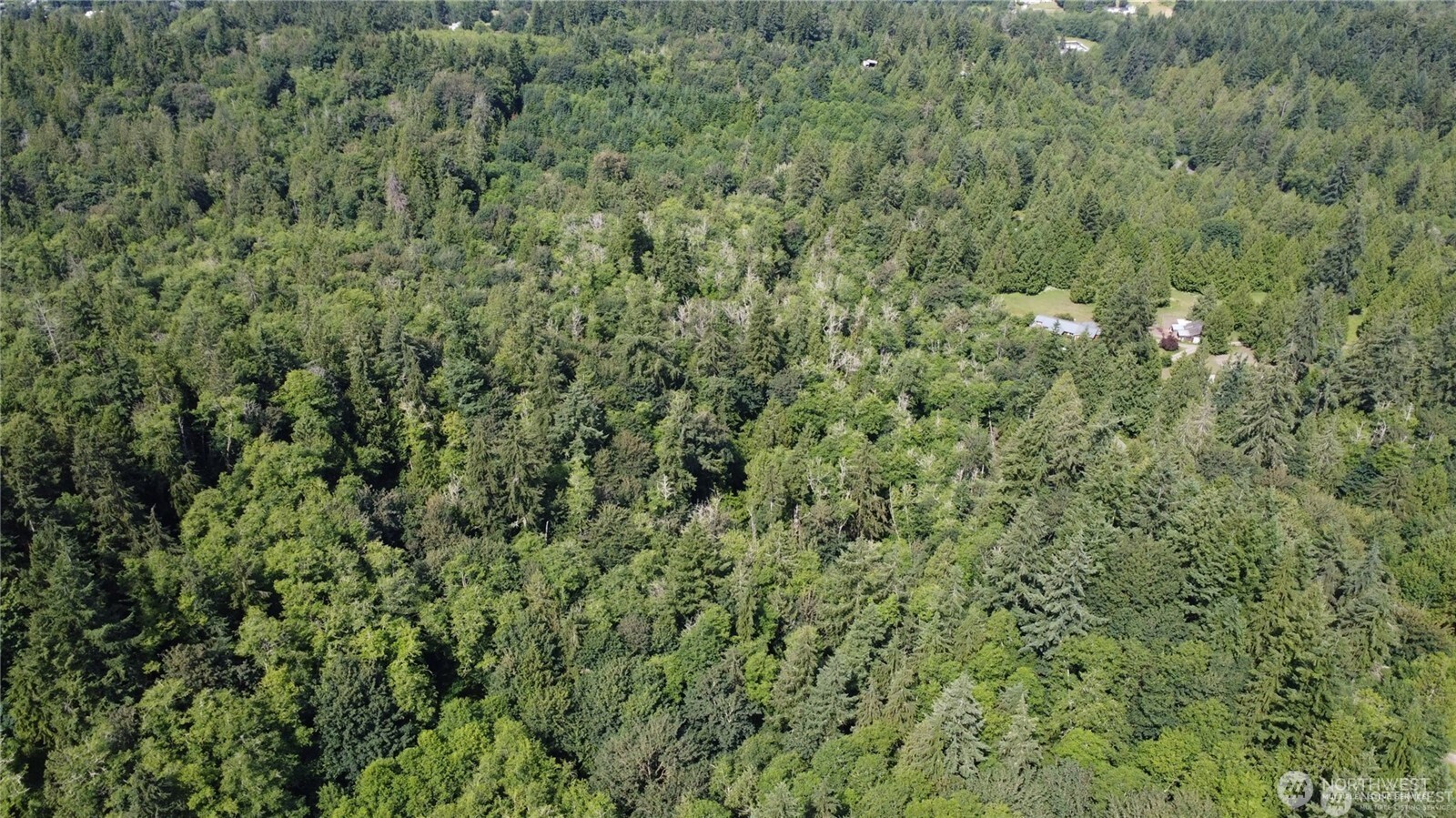 210 Xx Pugh Road Property Photo 9