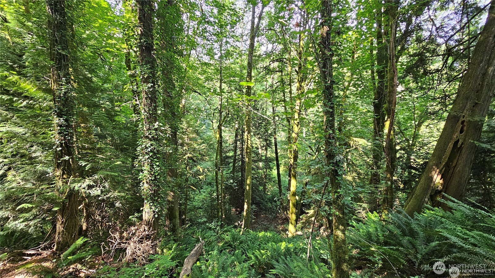 210 Xx Pugh Road Property Photo 17