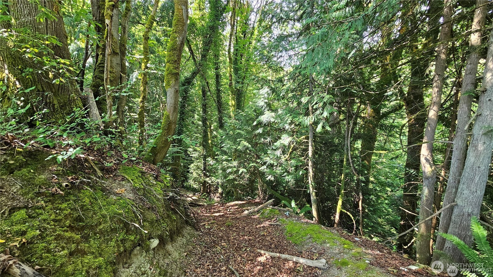 210 Xx Pugh Road Property Photo 18