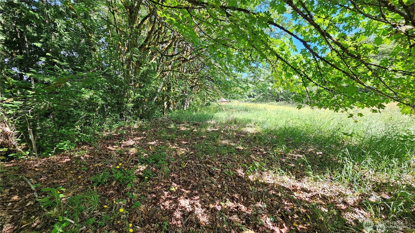 210 Xx Pugh Road Property Photo 22