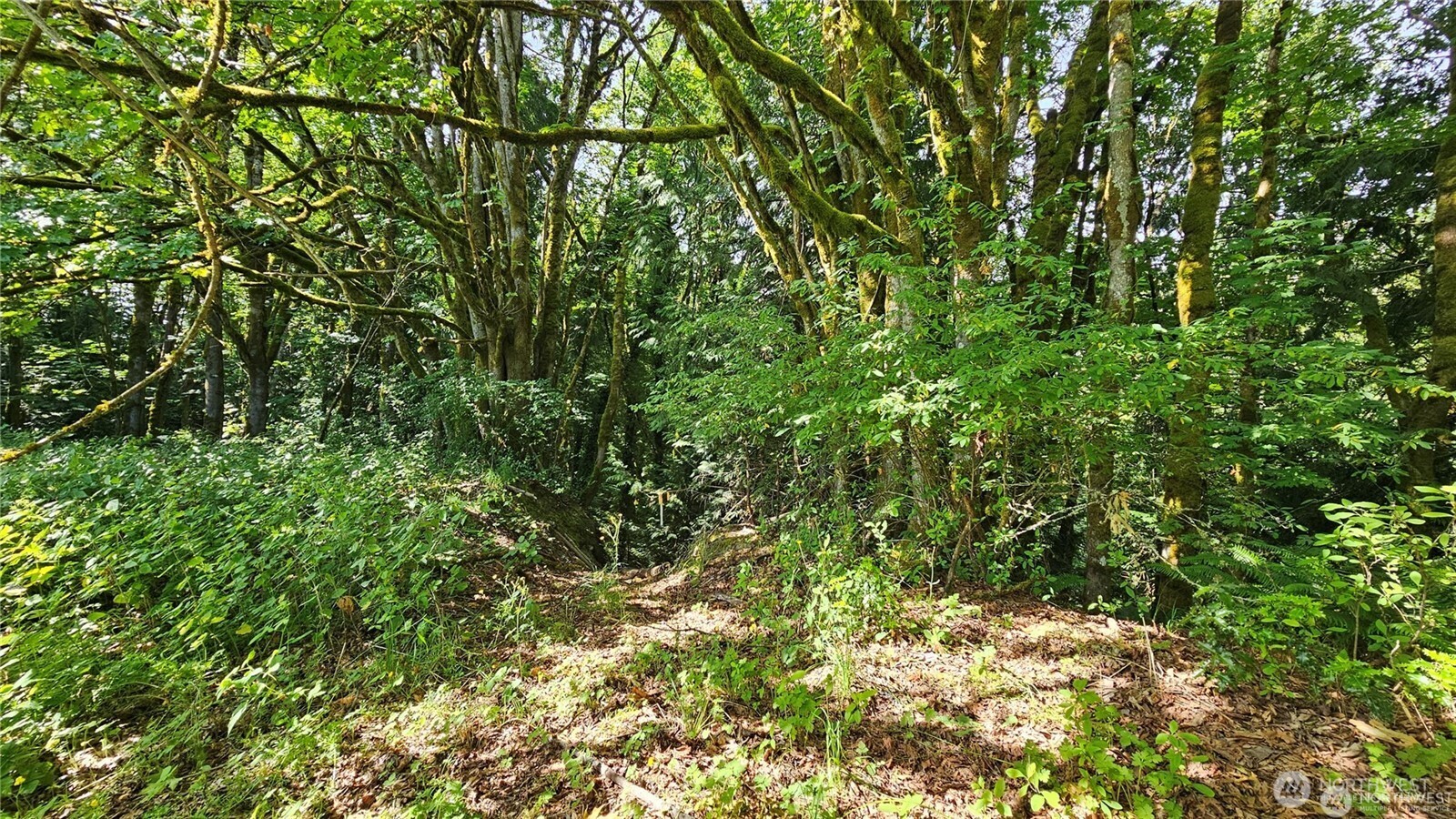 210 Xx Pugh Road Property Photo 30