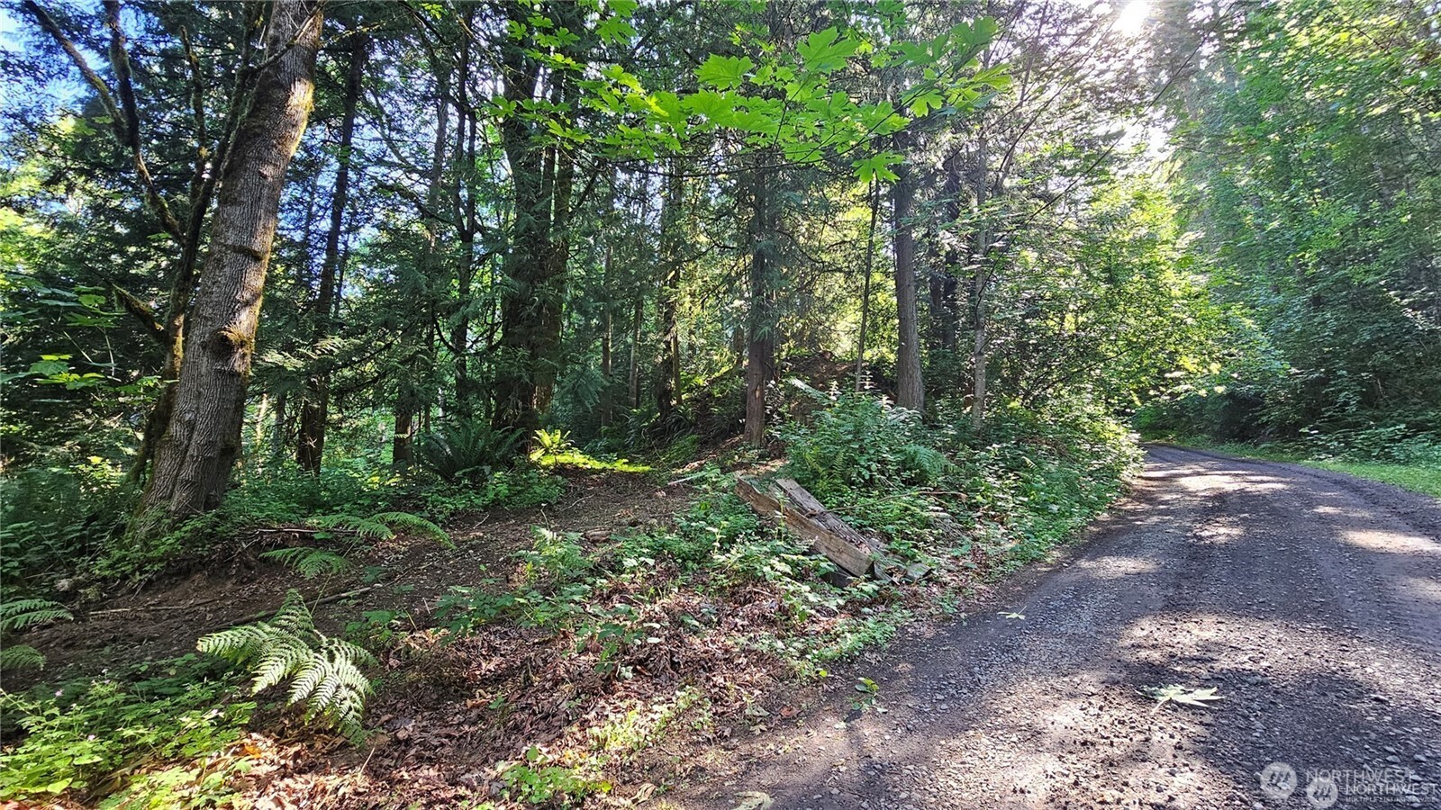 2469855 Property Photo 3