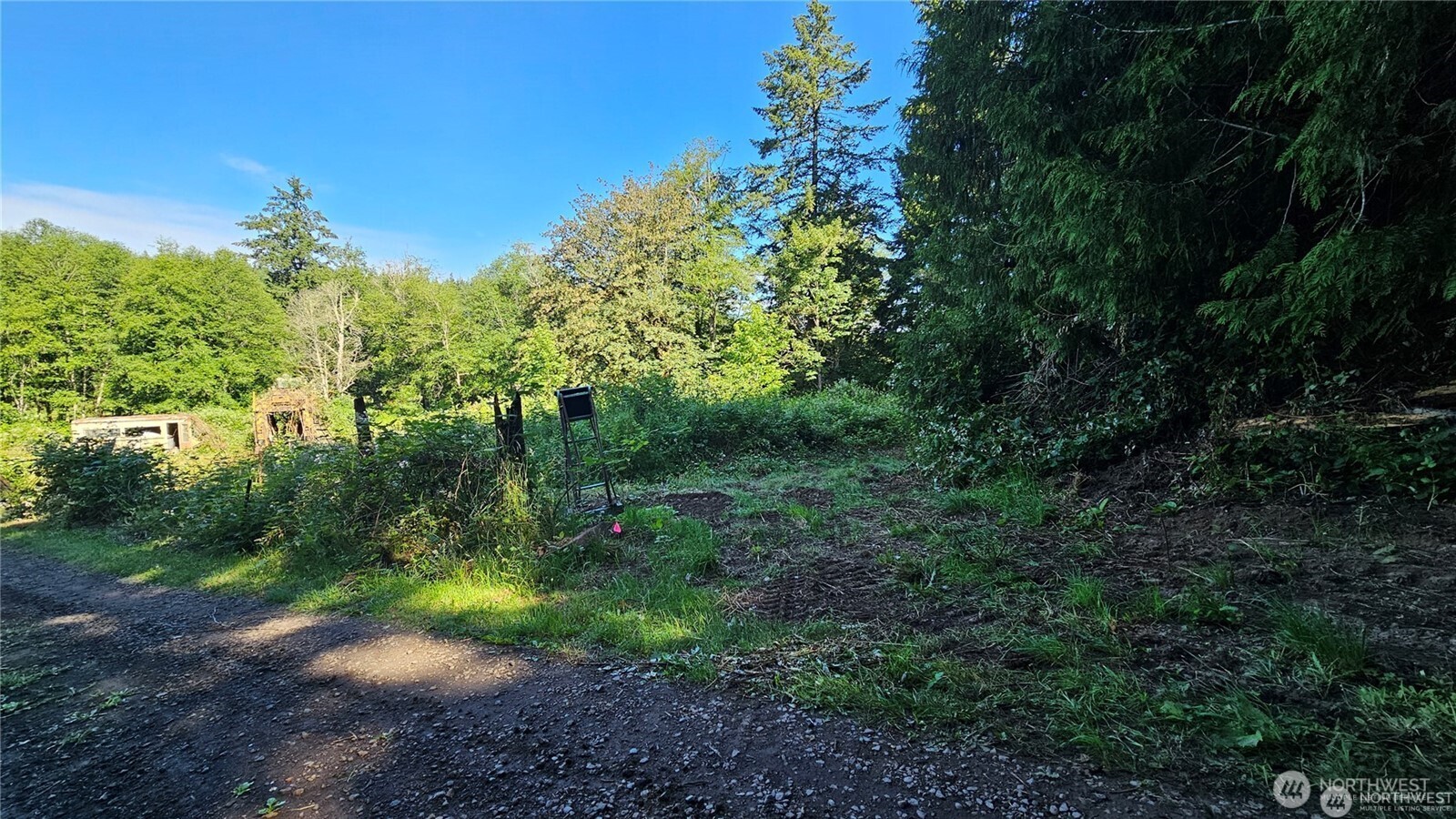 2469855 Property Photo 4