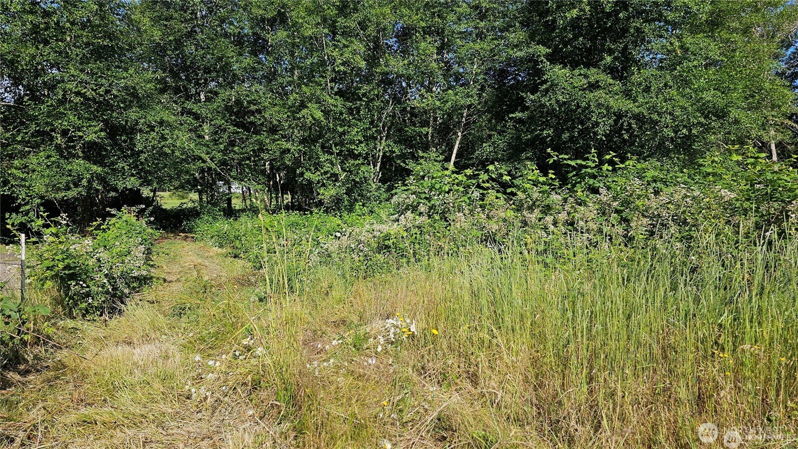 2469855 Property Photo 6