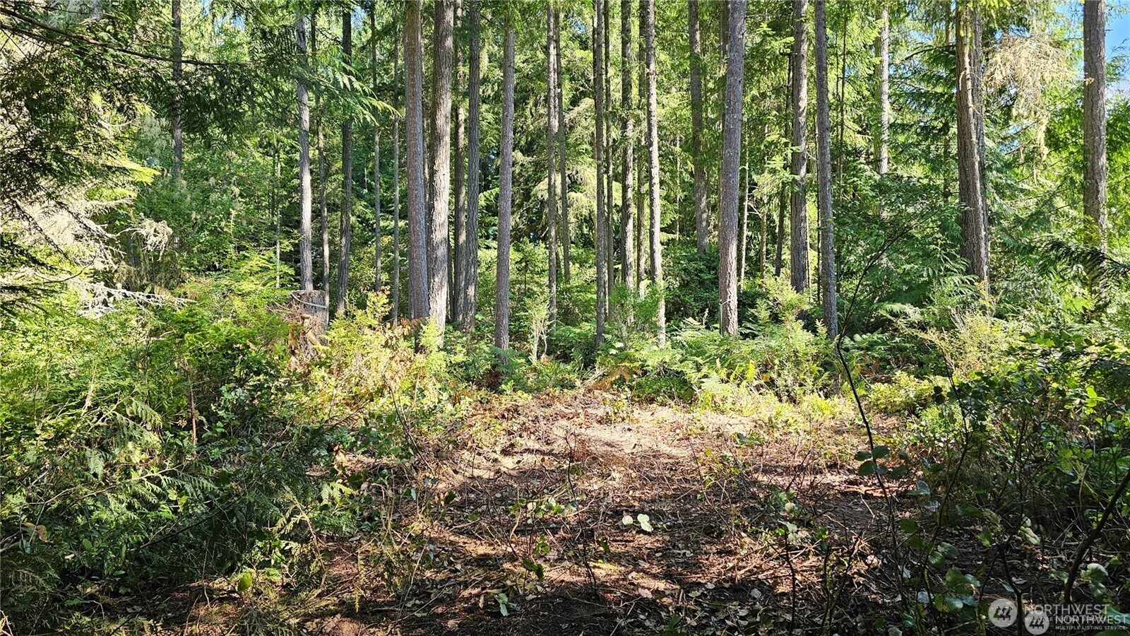 2469855 Property Photo 8
