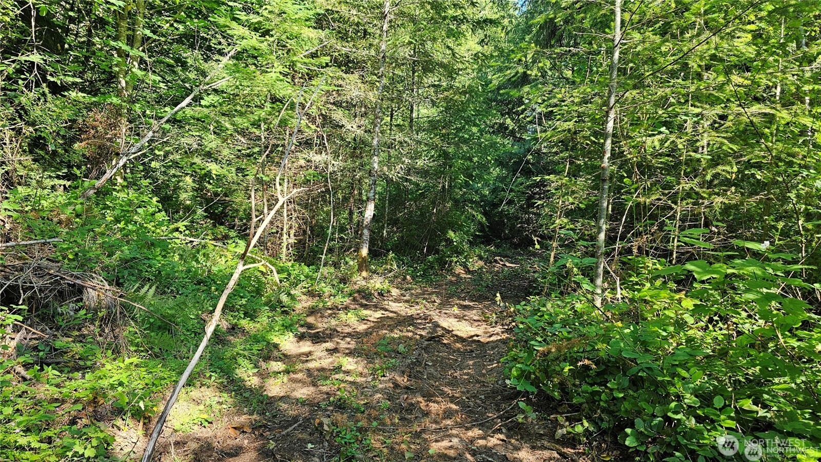 2469855 Property Photo 9