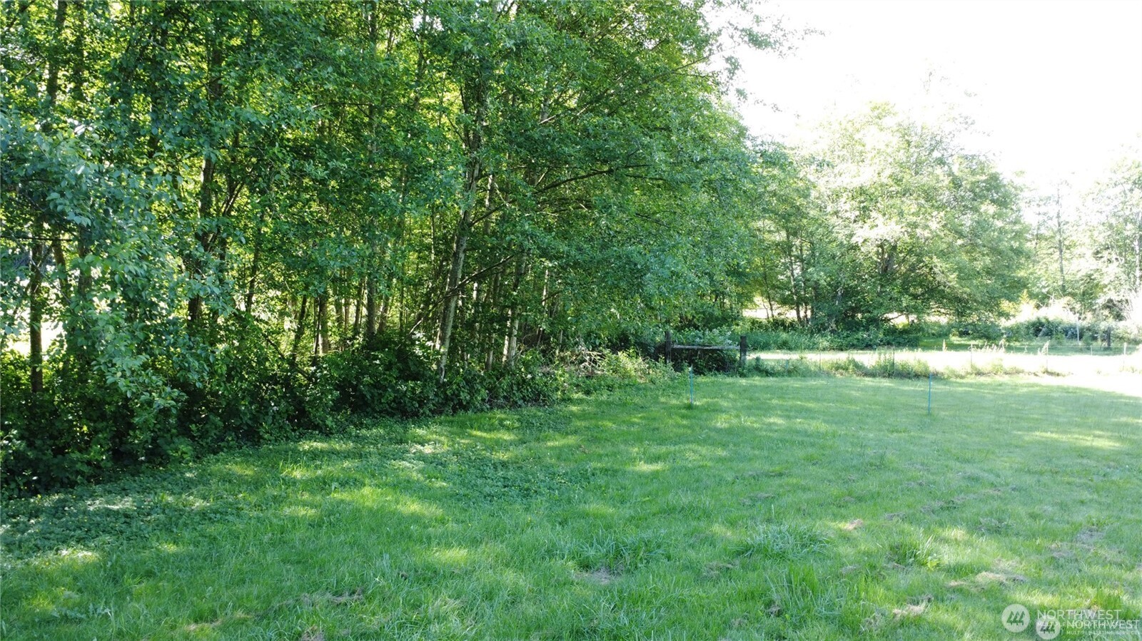 2469855 Property Photo 14