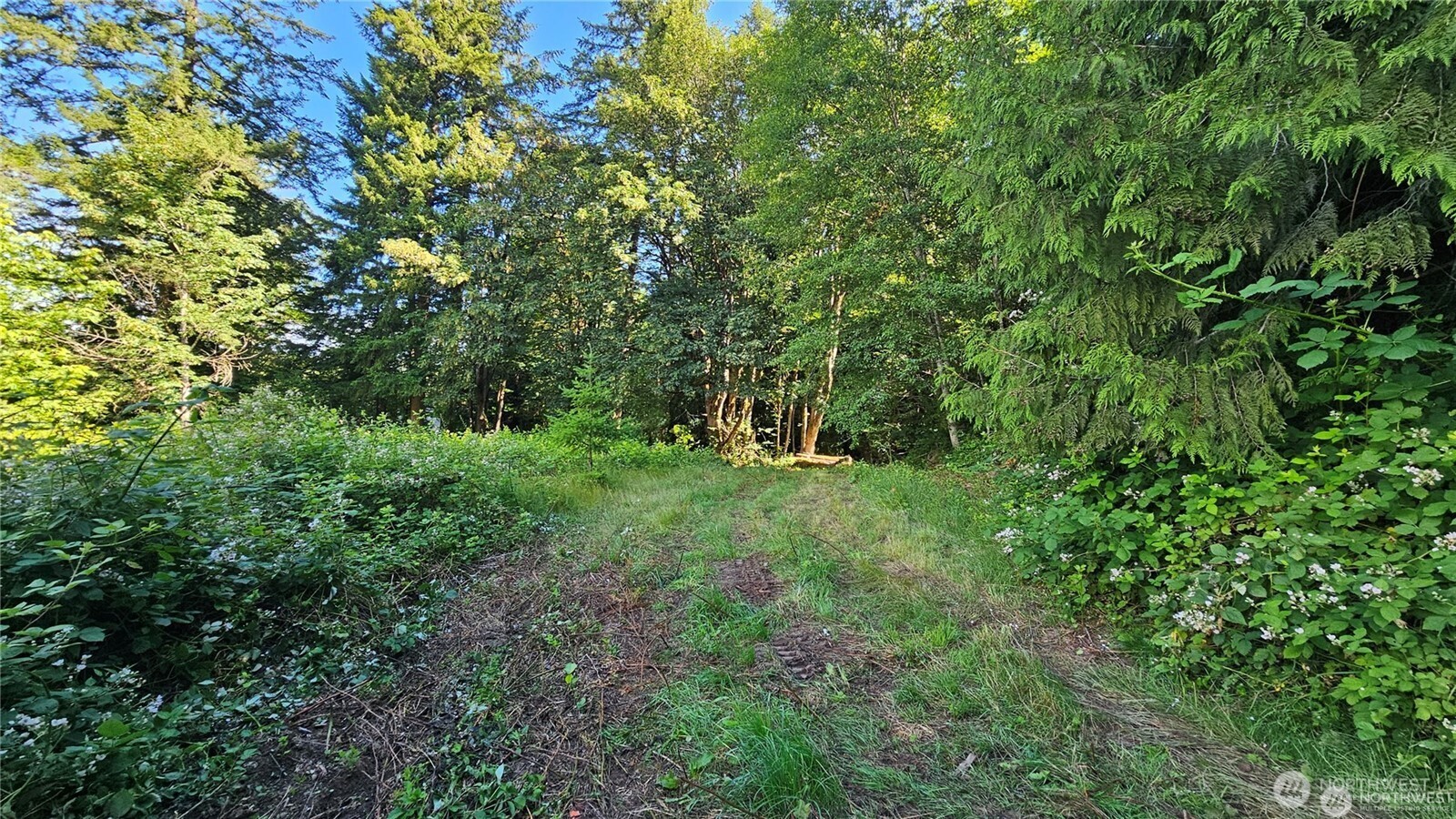 2469855 Property Photo 2